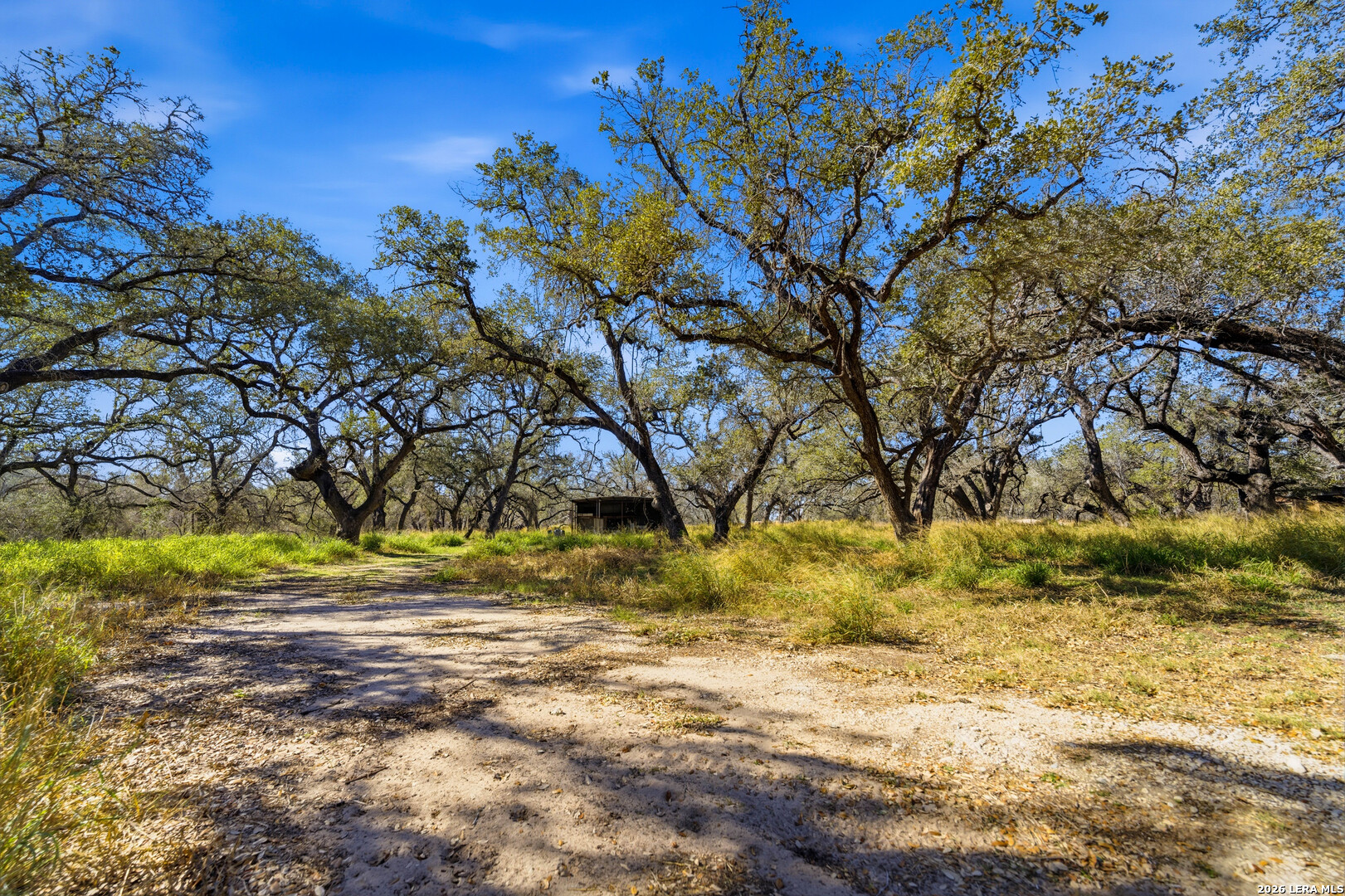 5683 Us Highway 181 N Floresville TX 78114