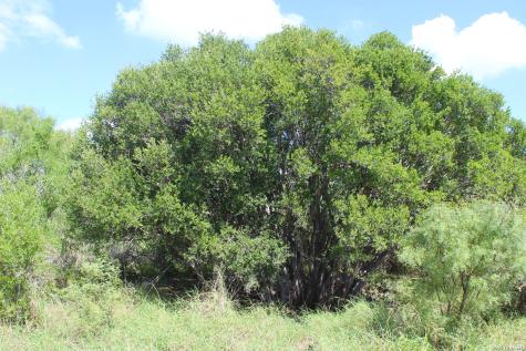 19268 C Hwy.85 Big Wells TX 78830