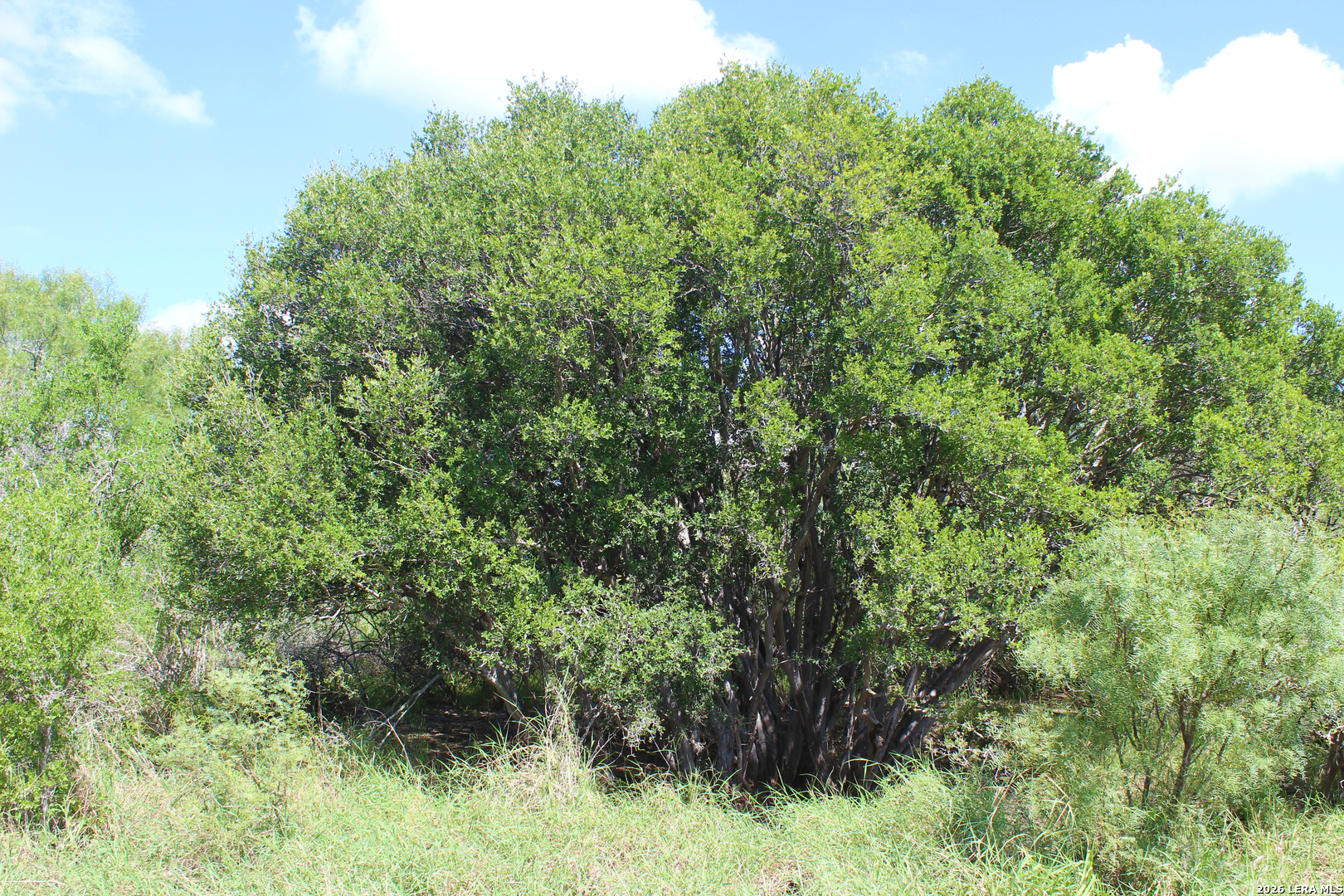 19268 C Hwy.85 Big Wells TX 78830