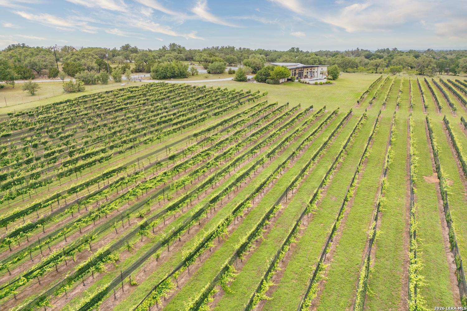 1758 Lincoln Smith Road Round Mountain TX 78663
