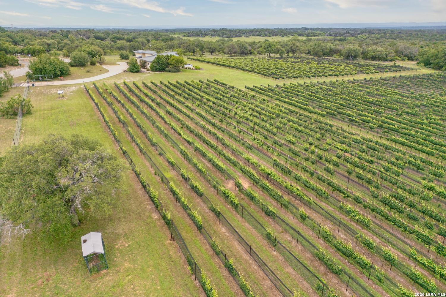 1758 Lincoln Smith Road Round Mountain TX 78663