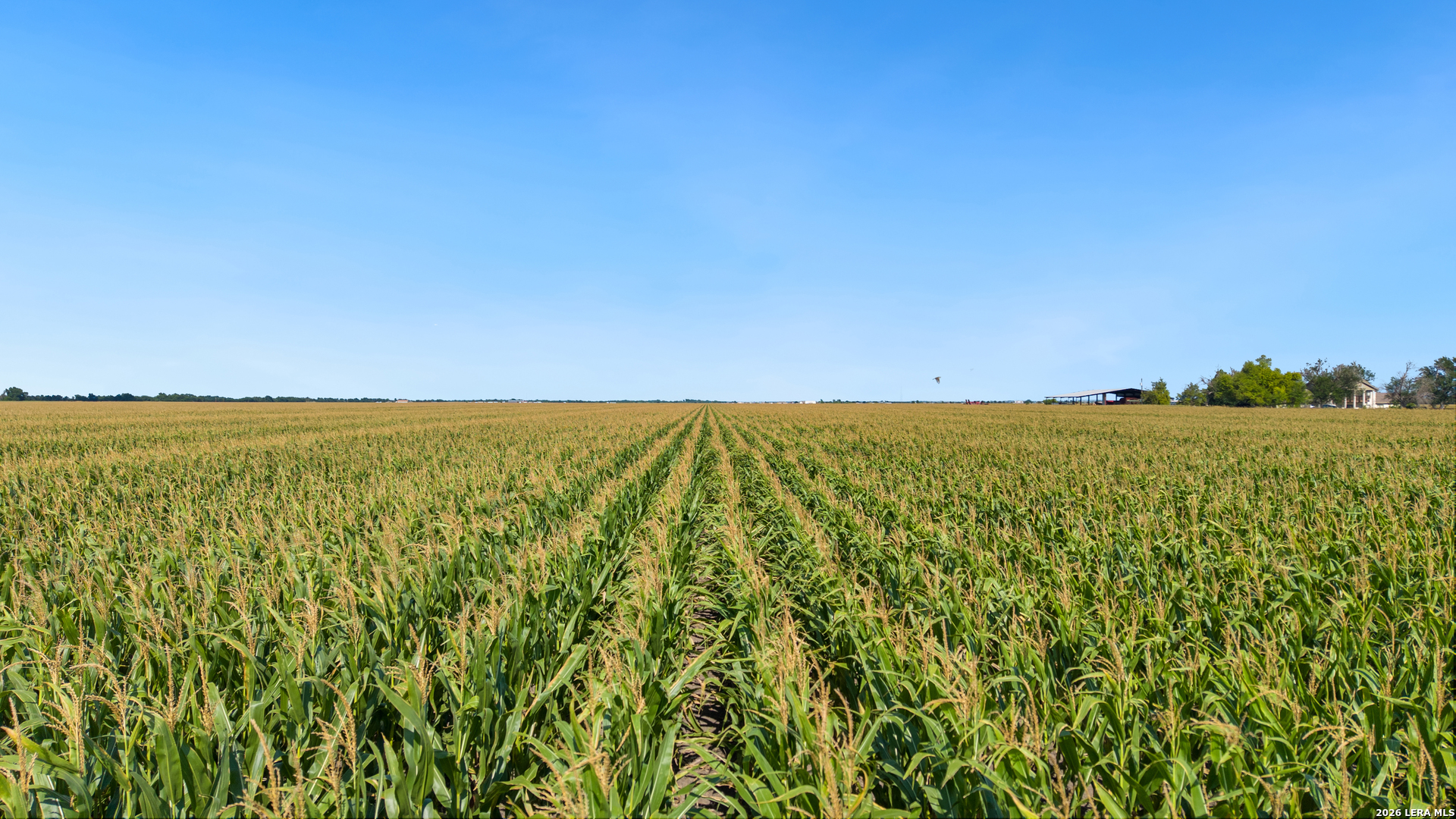 4669 Fm 973 Taylor TX 76574