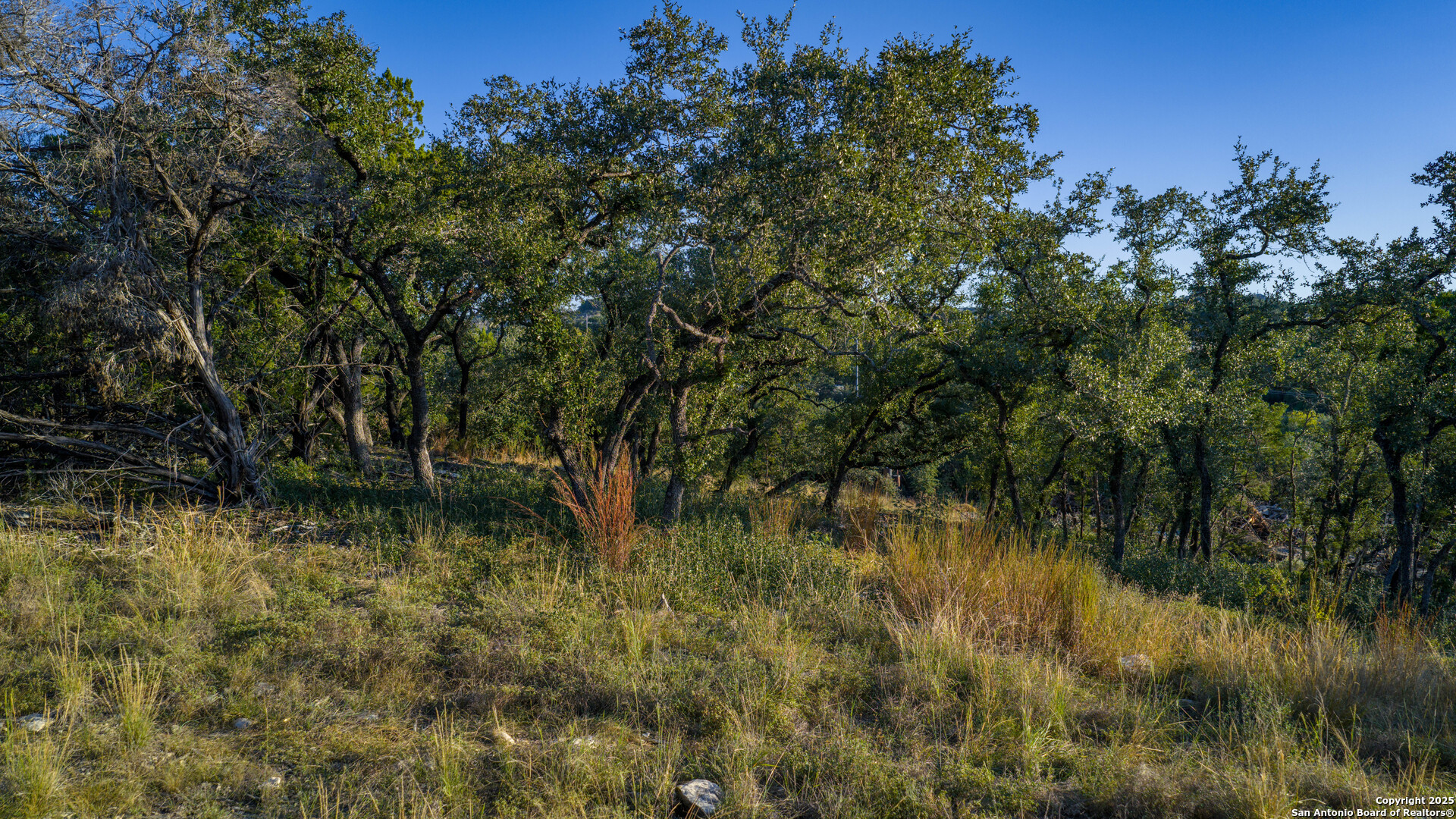 9089 Fm 2673 Canyon Lake TX 78133