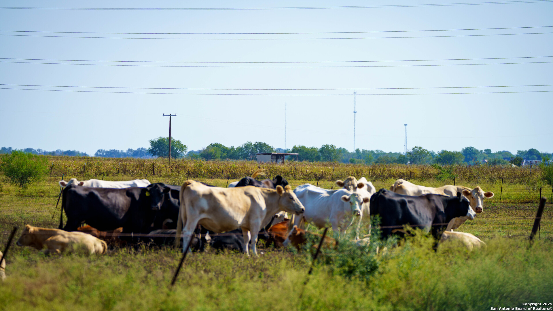 2525 Fm 2623 Seguin TX 78155