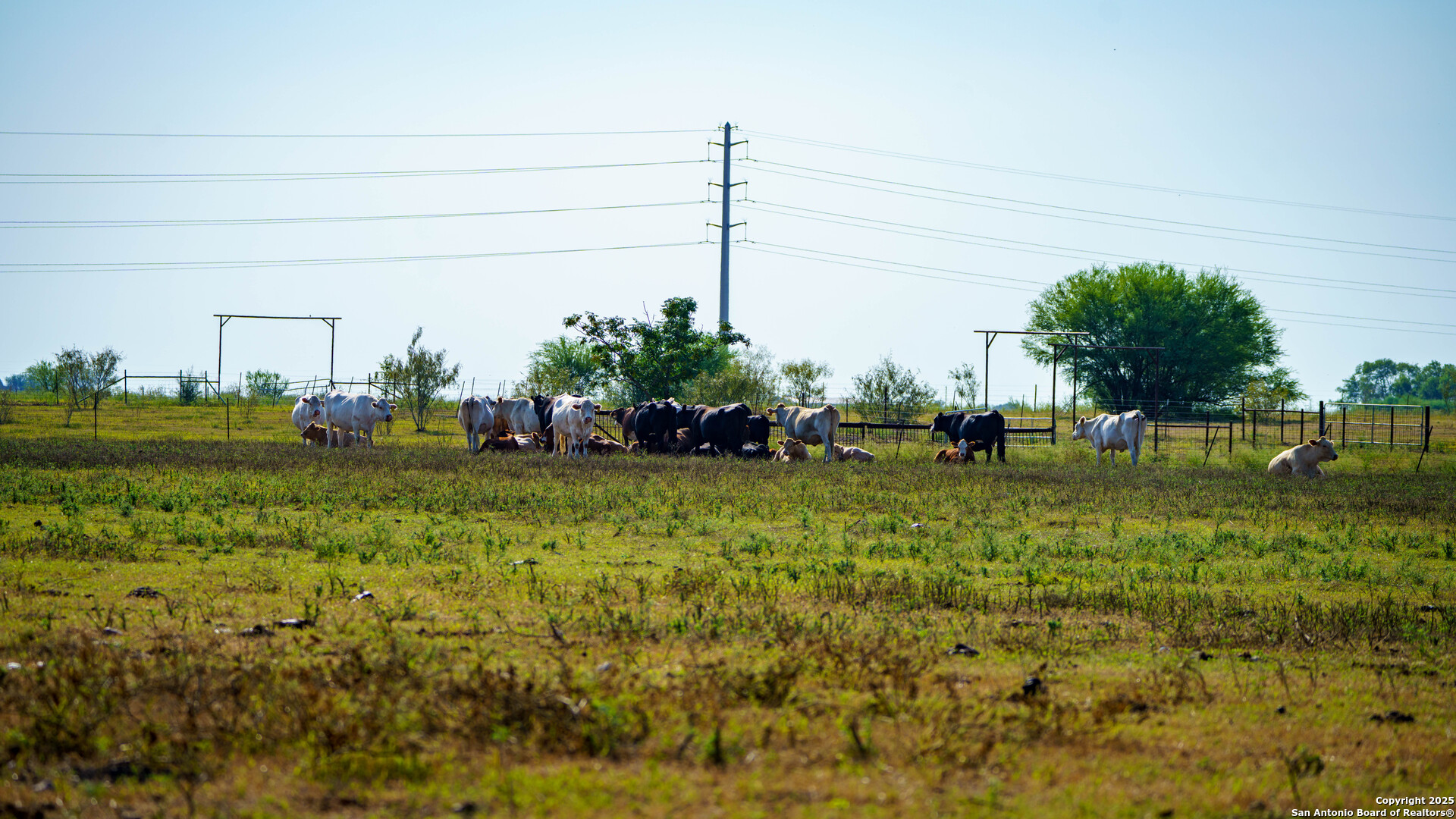 2525 Fm 2623 Seguin TX 78155