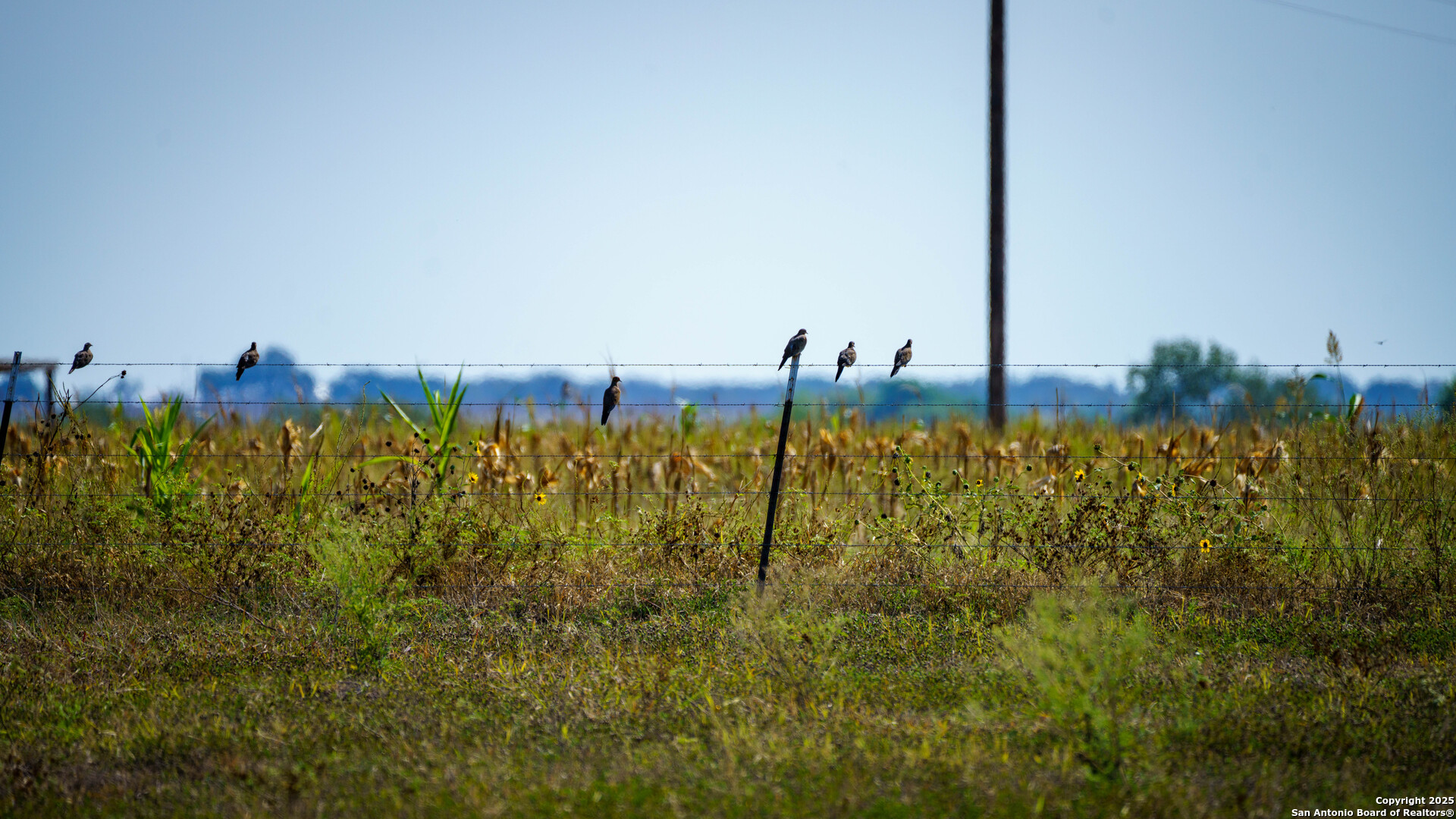 2525 Fm 2623 Seguin TX 78155