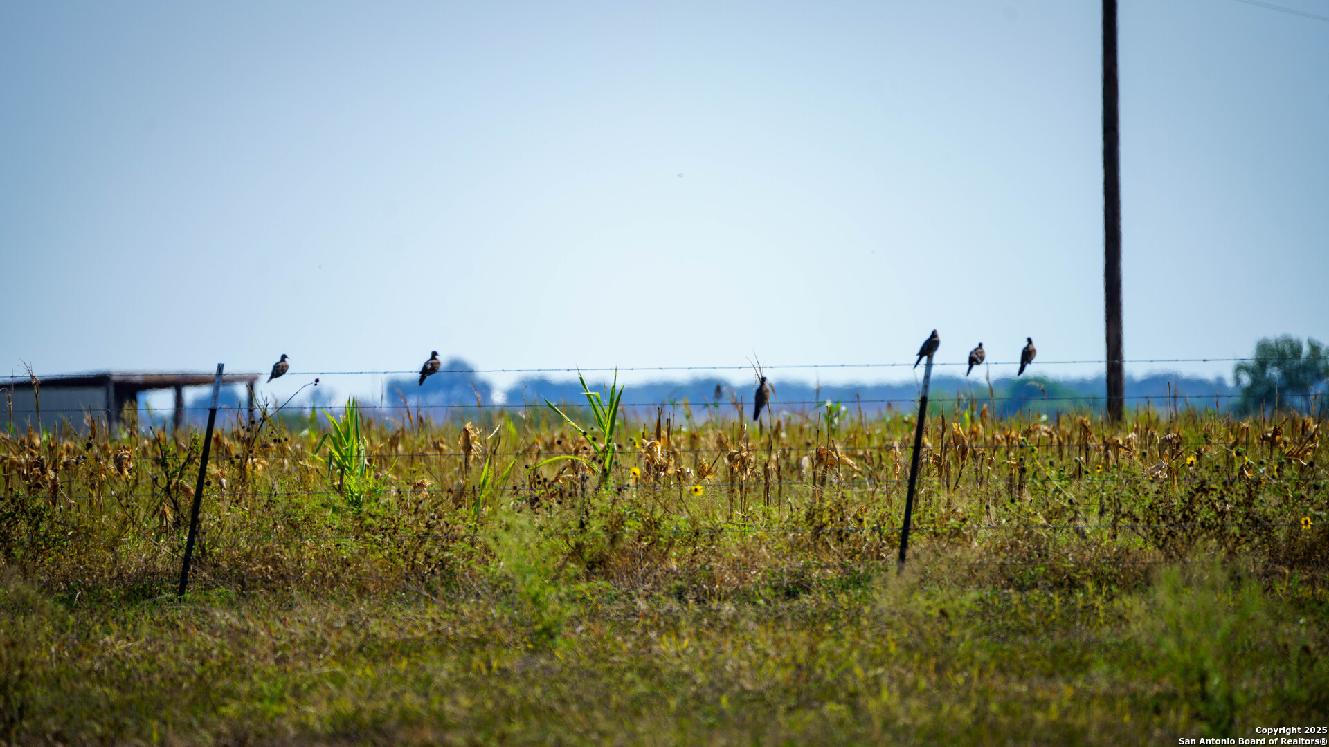 2525 Fm 2623 Seguin TX 78155