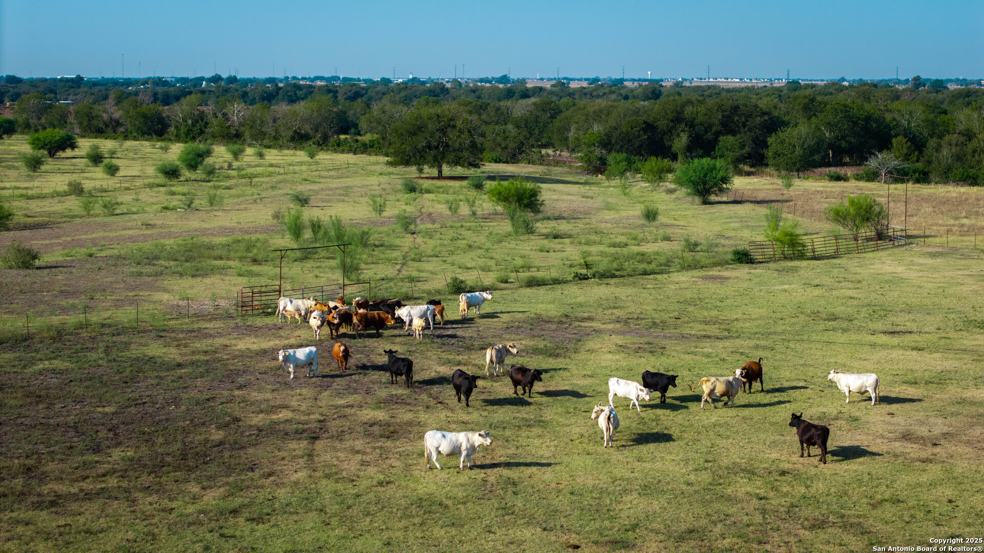 2525 Fm 2623 Seguin TX 78155