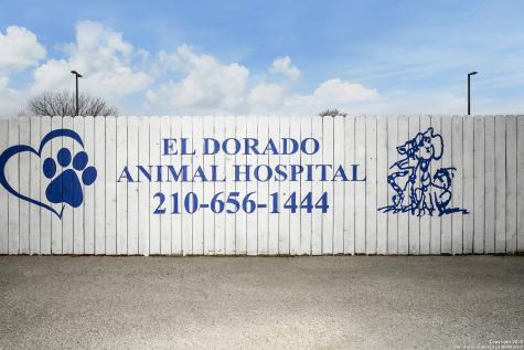 13039 Nacogdoches Road San Antonio TX 78217