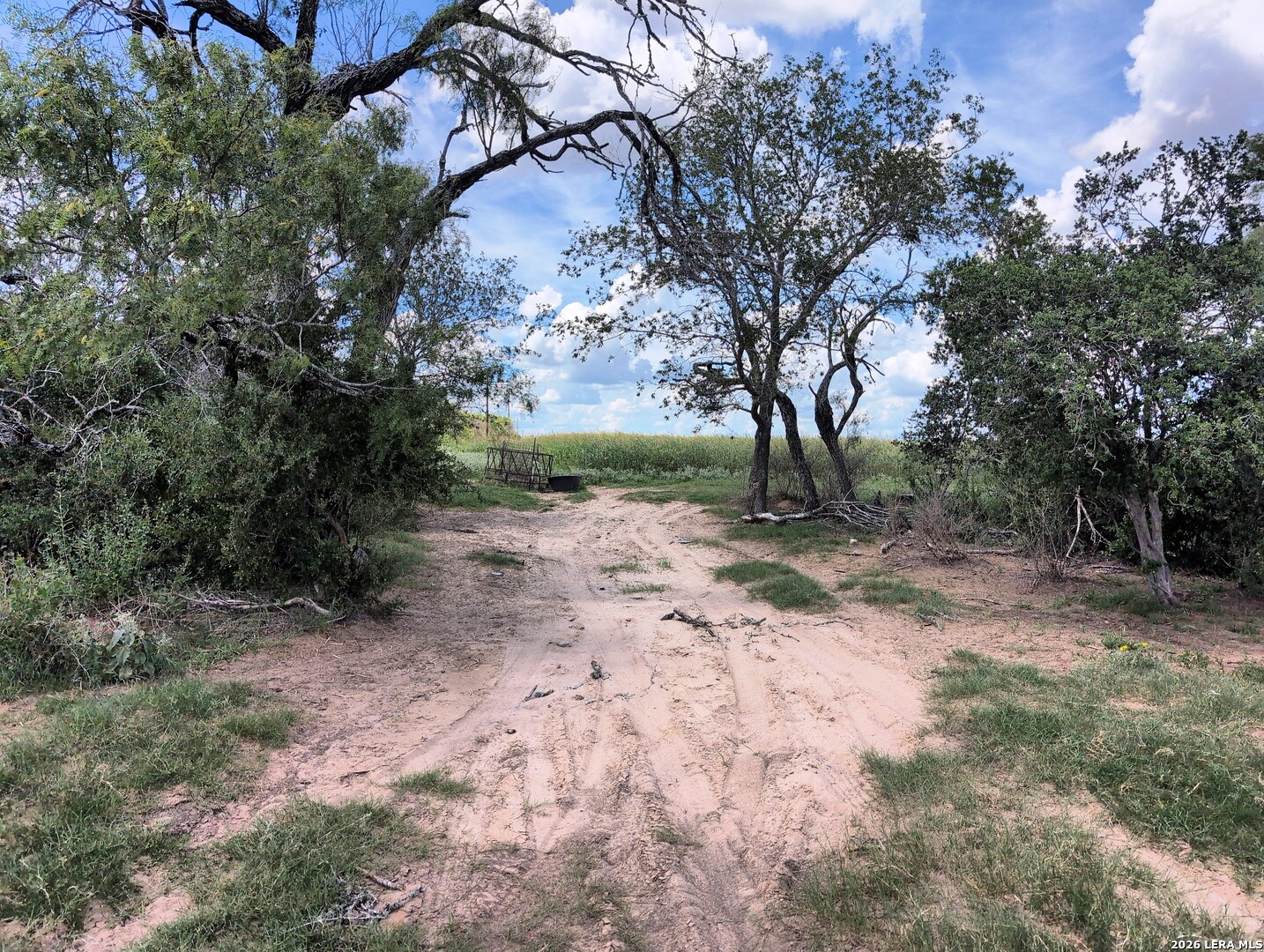 125 Acres Cooksey Road Adkins TX 78101