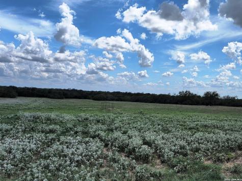 125 Acres Cooksey Road Adkins TX 78101