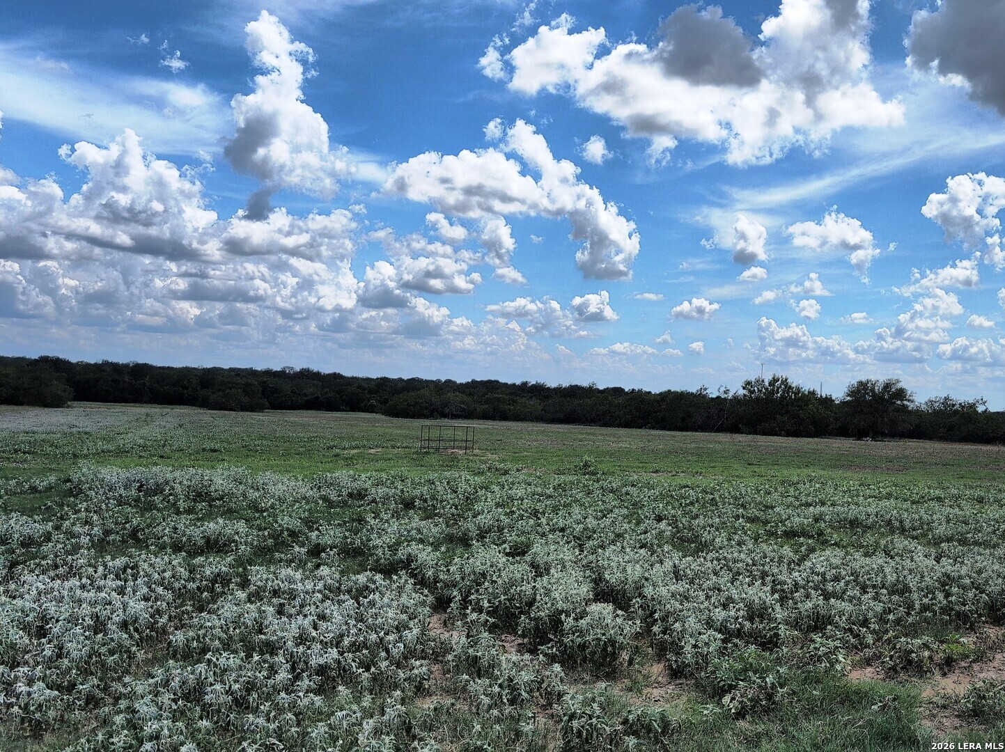 125 Acres Cooksey Road Adkins TX 78101