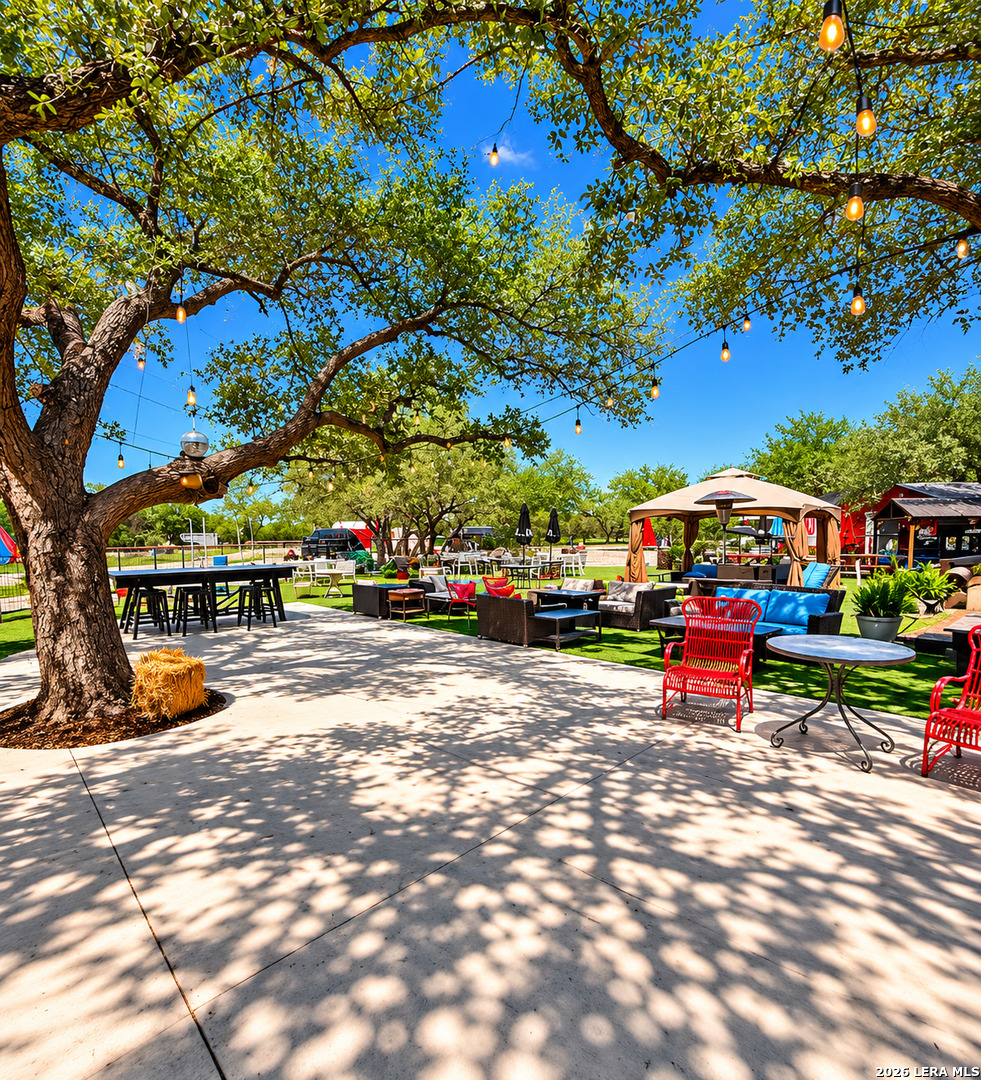 33855 Blanco Road Bulverde TX 78163