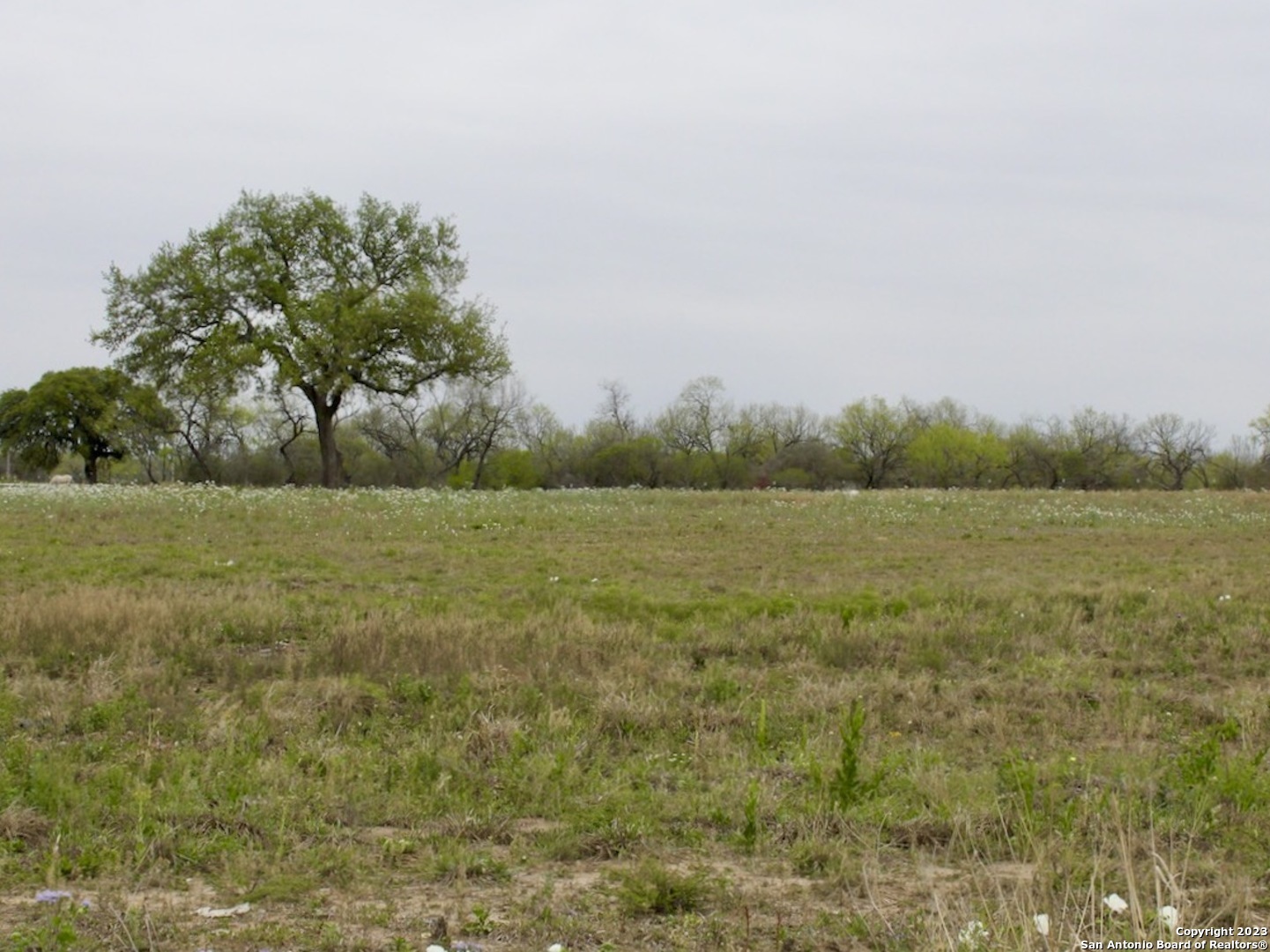 00 Street Highway 173 Bigfoot TX 78005