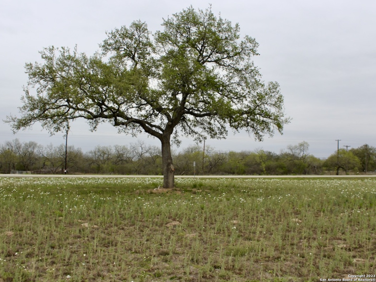 00 Street Highway 173 Bigfoot TX 78005