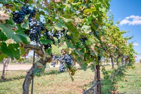 13502 Us Highway 290 Stonewall TX 78671