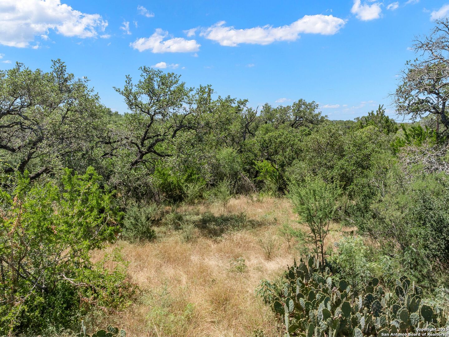 17190 Classen San Antonio TX 78247