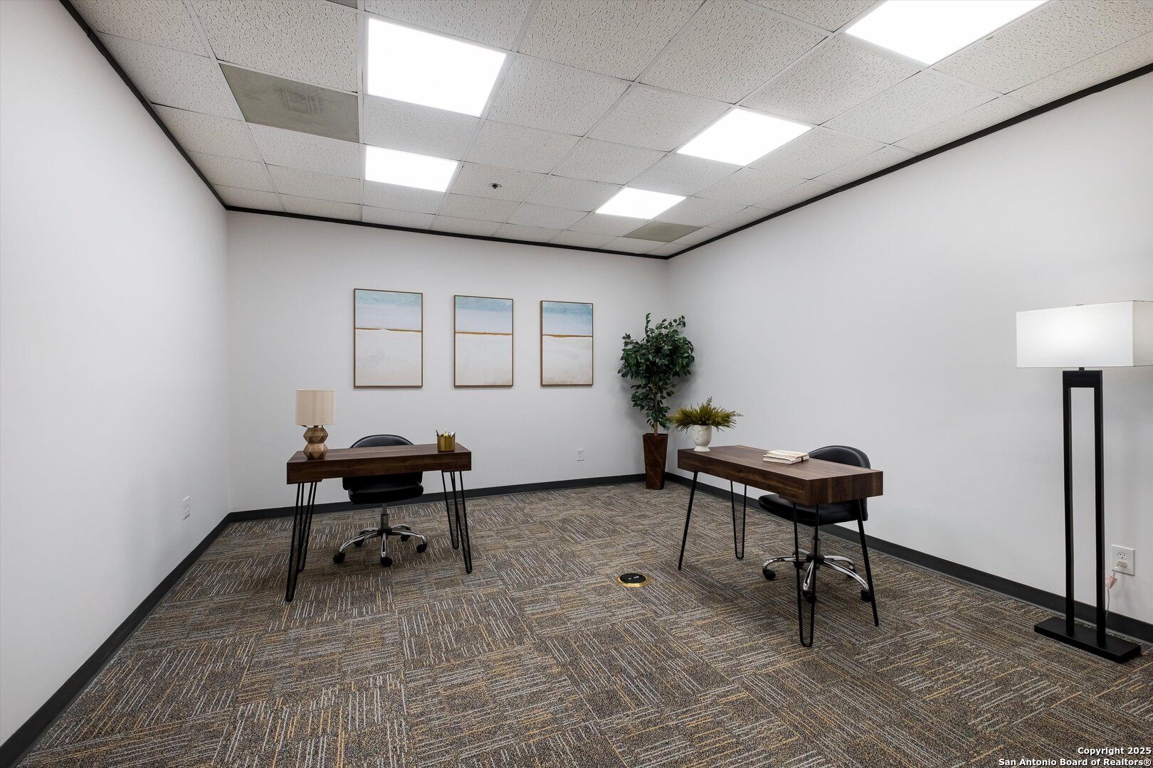 12042 Blanco Road San Antonio TX 78216