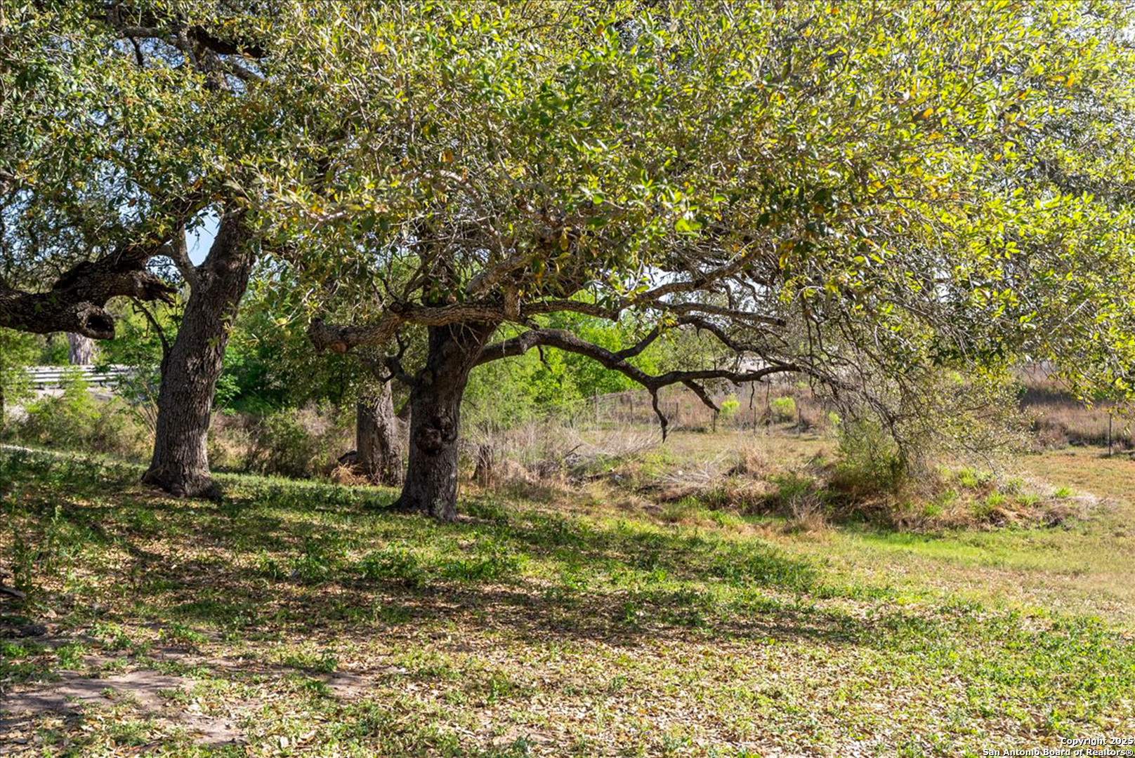 1200 Highway 59 George West TX 78022