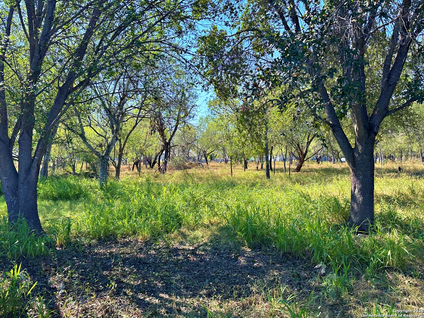 215 E College Pleasanton TX 78064