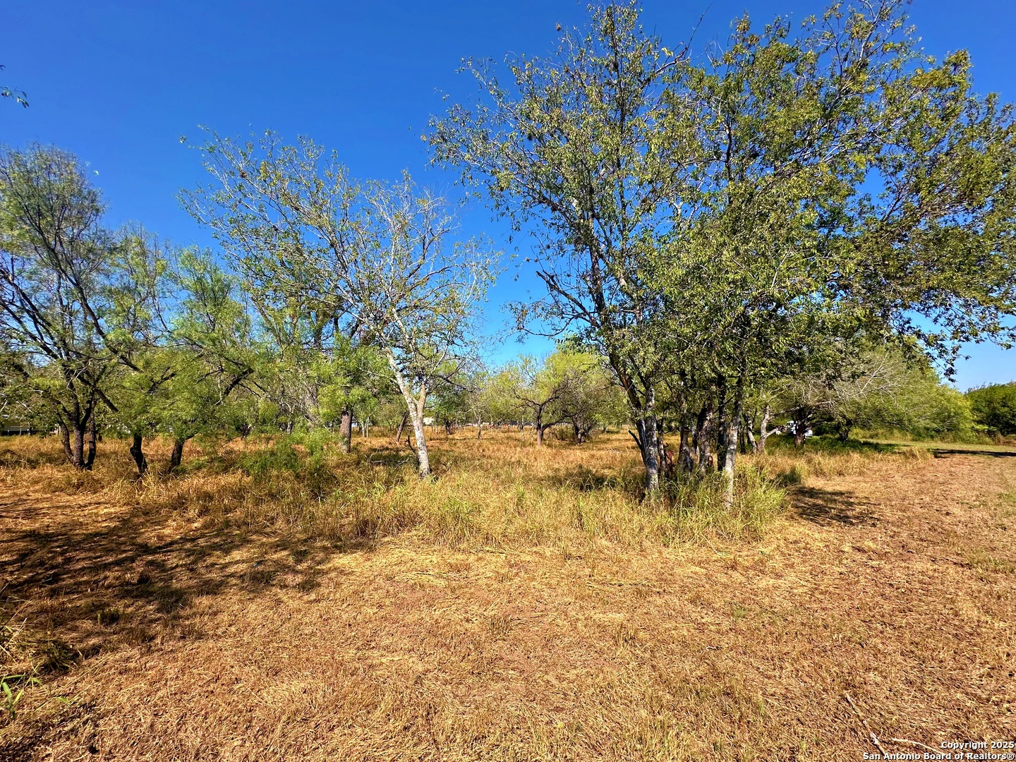 215 E College Pleasanton TX 78064