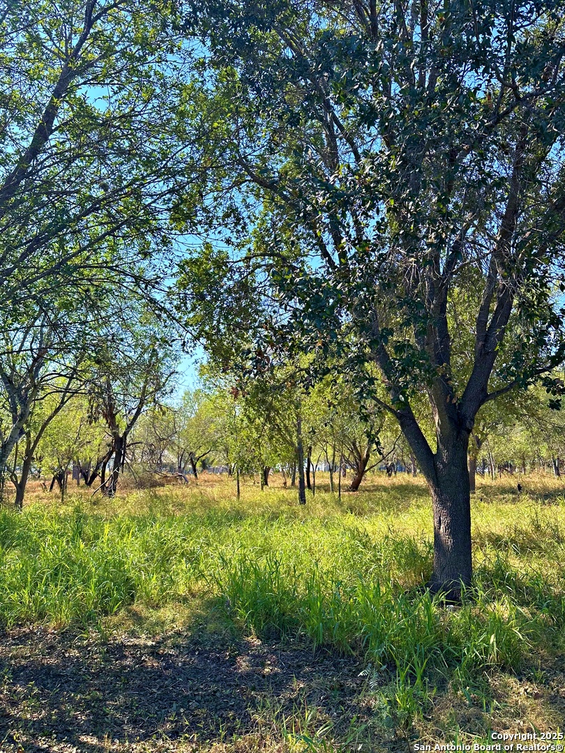 215 E College Pleasanton TX 78064