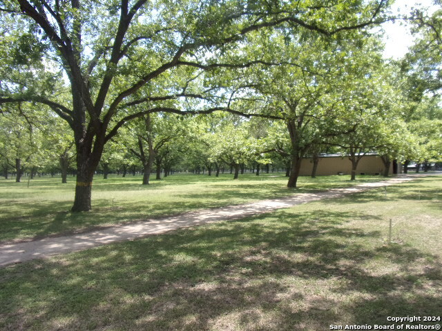 111 Red Wright Road Leakey TX 78873