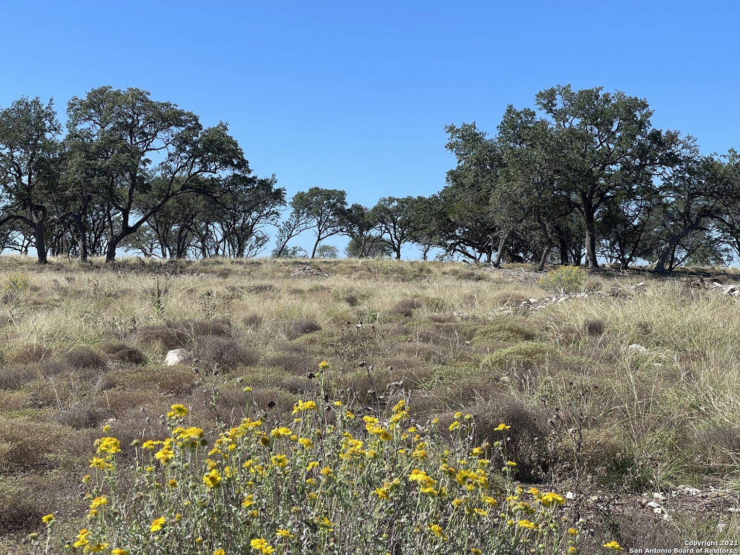 6337 State Highway 16 S Pipe Creek TX 78063