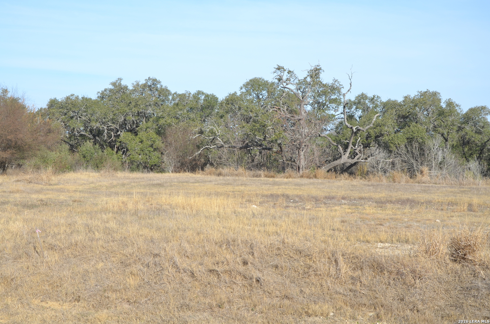 14543 Main Lytle TX 78052