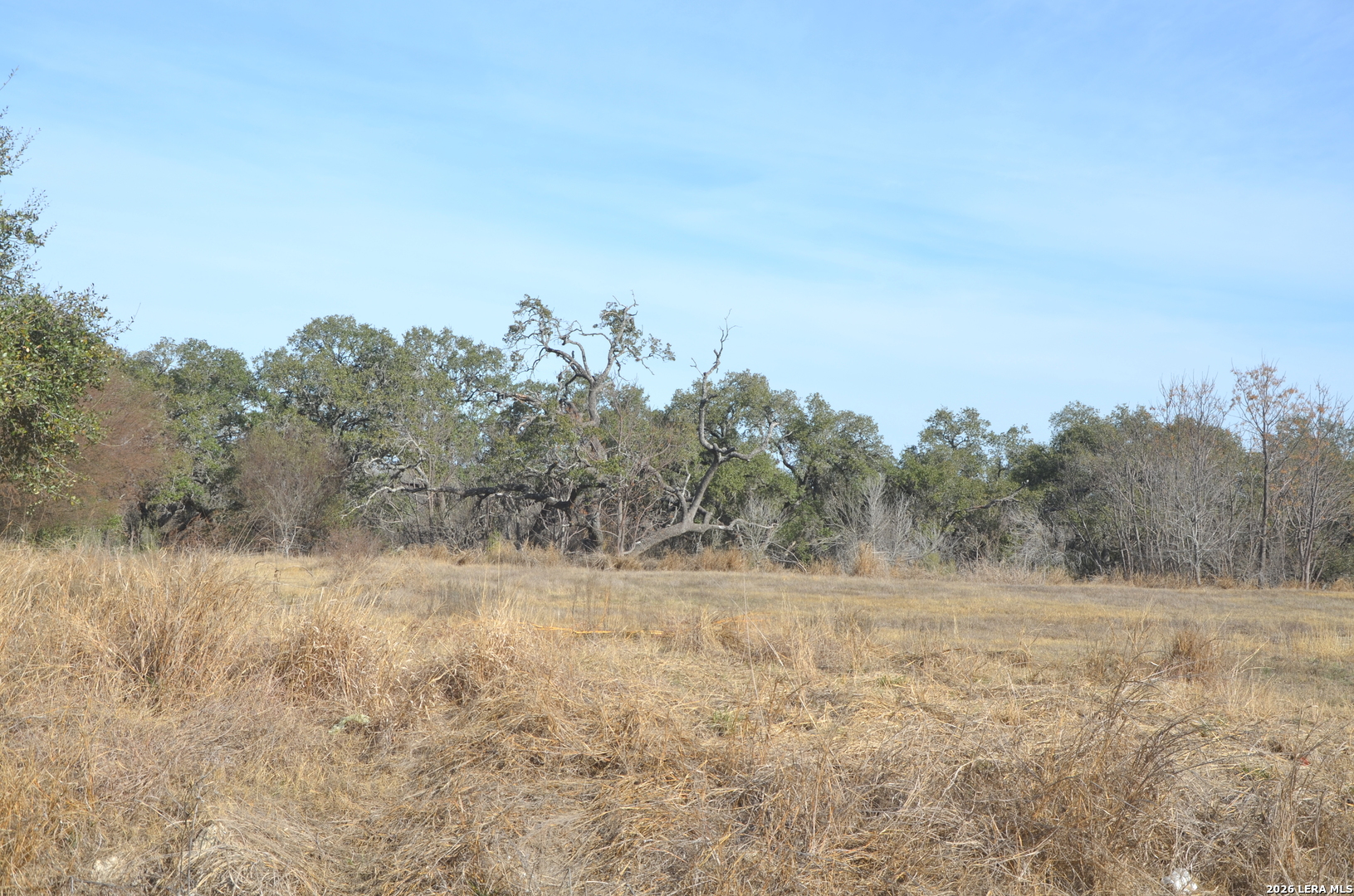 14543 Main Lytle TX 78052