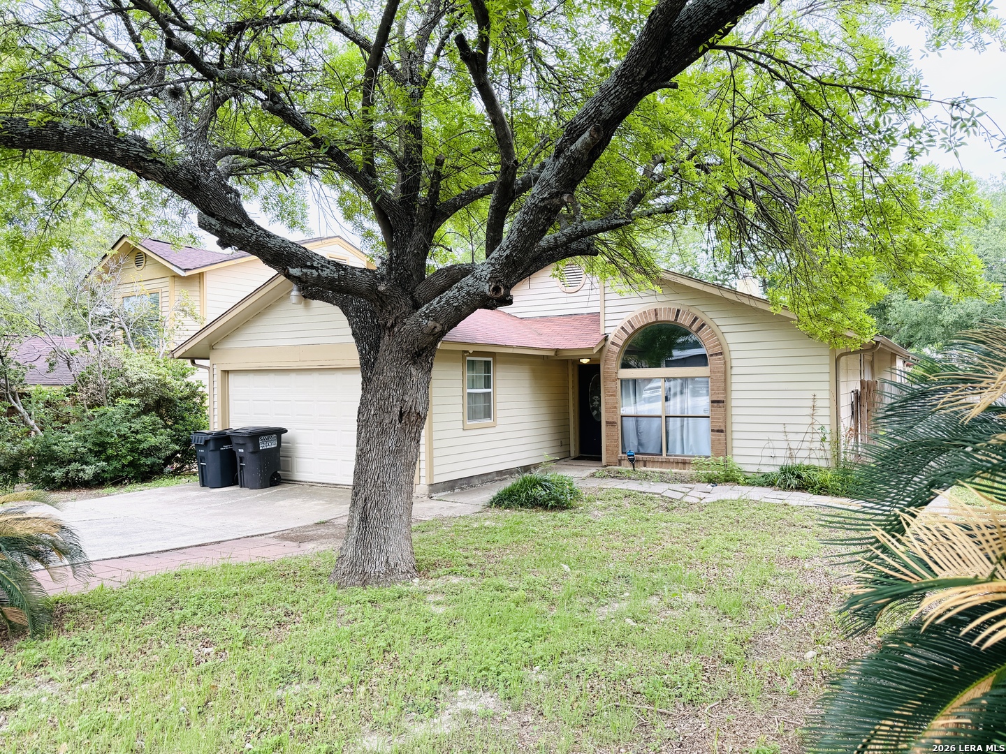 647 Cypressgreen Drive San Antonio TX 78245