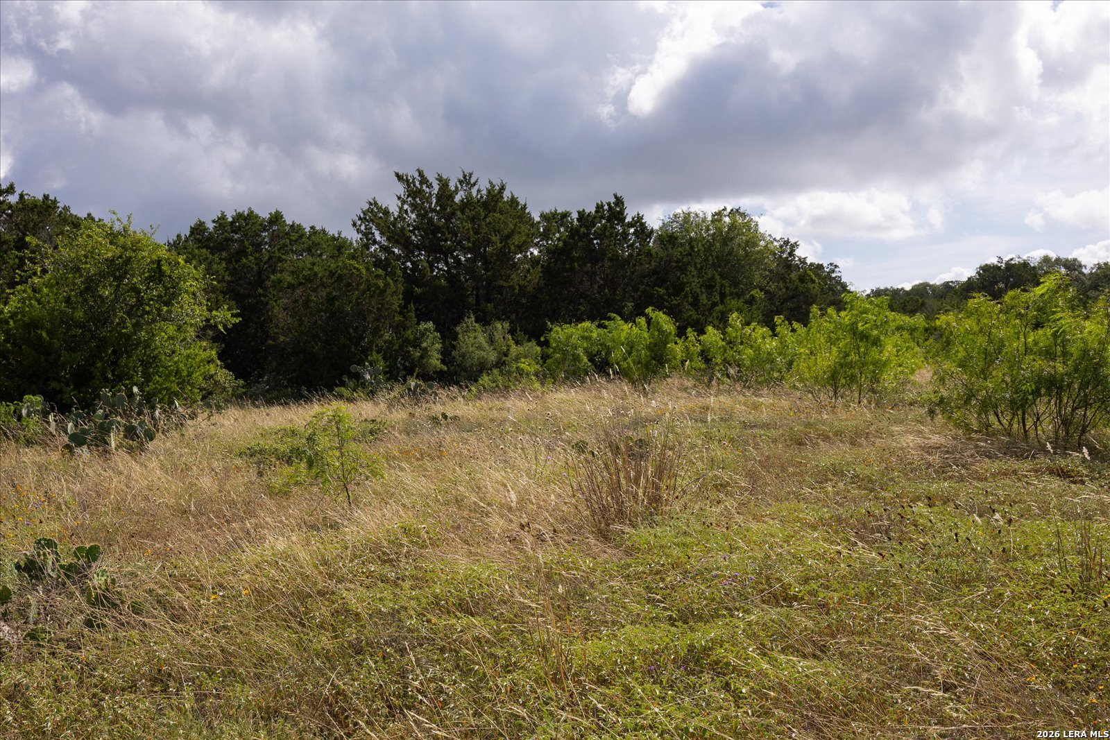 5726 W State Highway 46 New Braunfels TX 78132