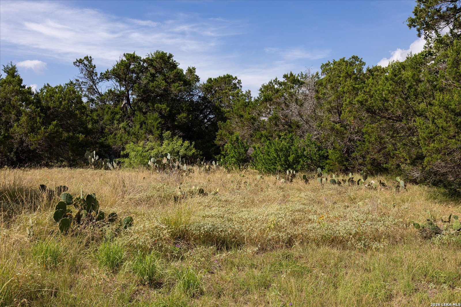 5726 W State Highway 46 New Braunfels TX 78132
