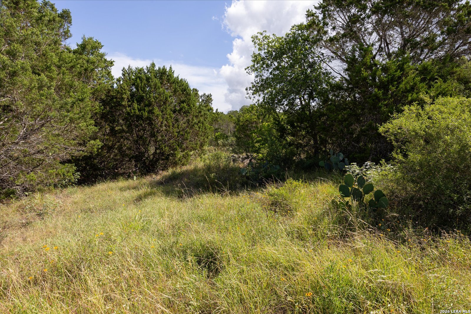 5726 W State Highway 46 New Braunfels TX 78132