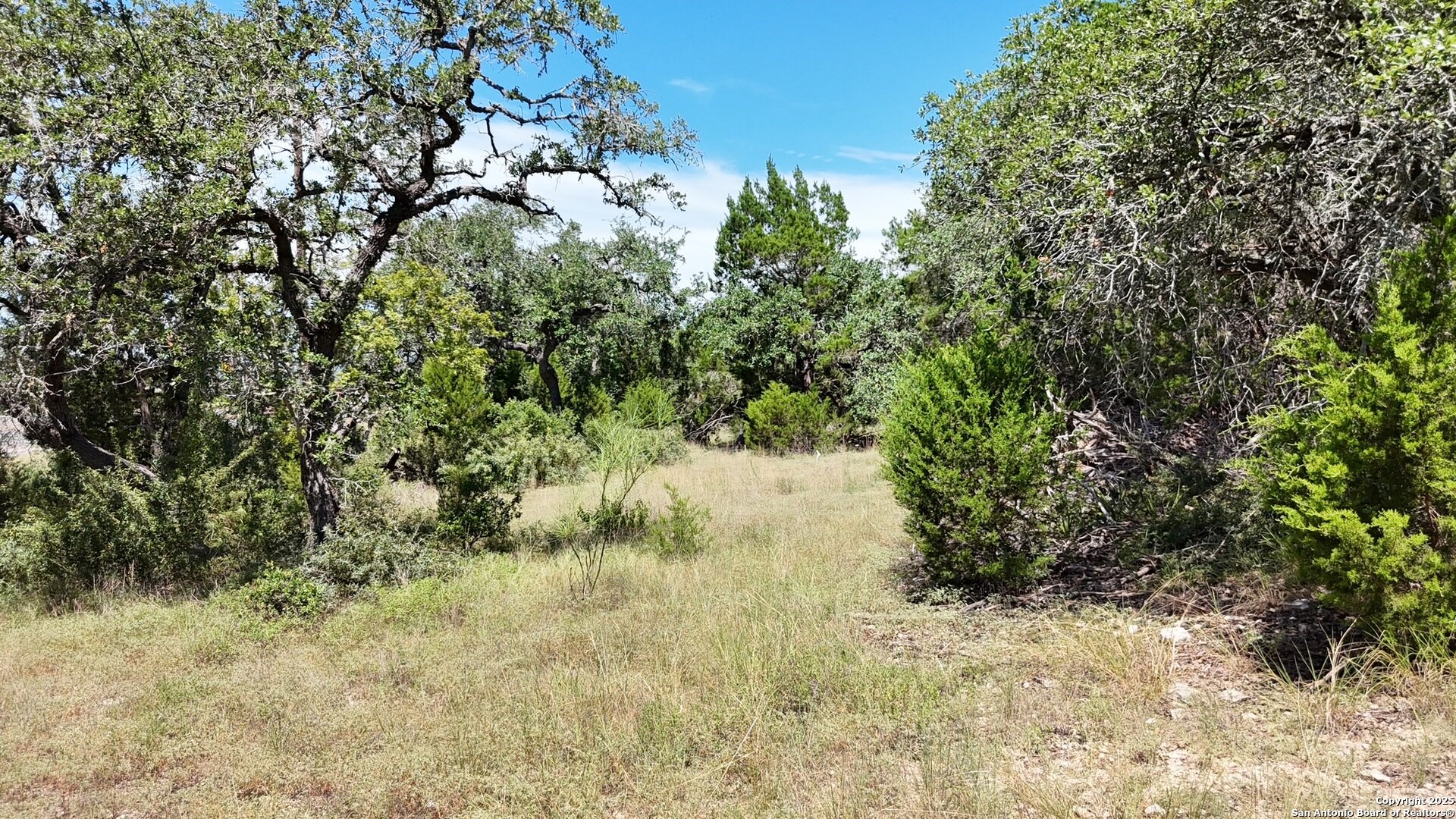 15910 Fm 306 Canyon Lake TX 78133