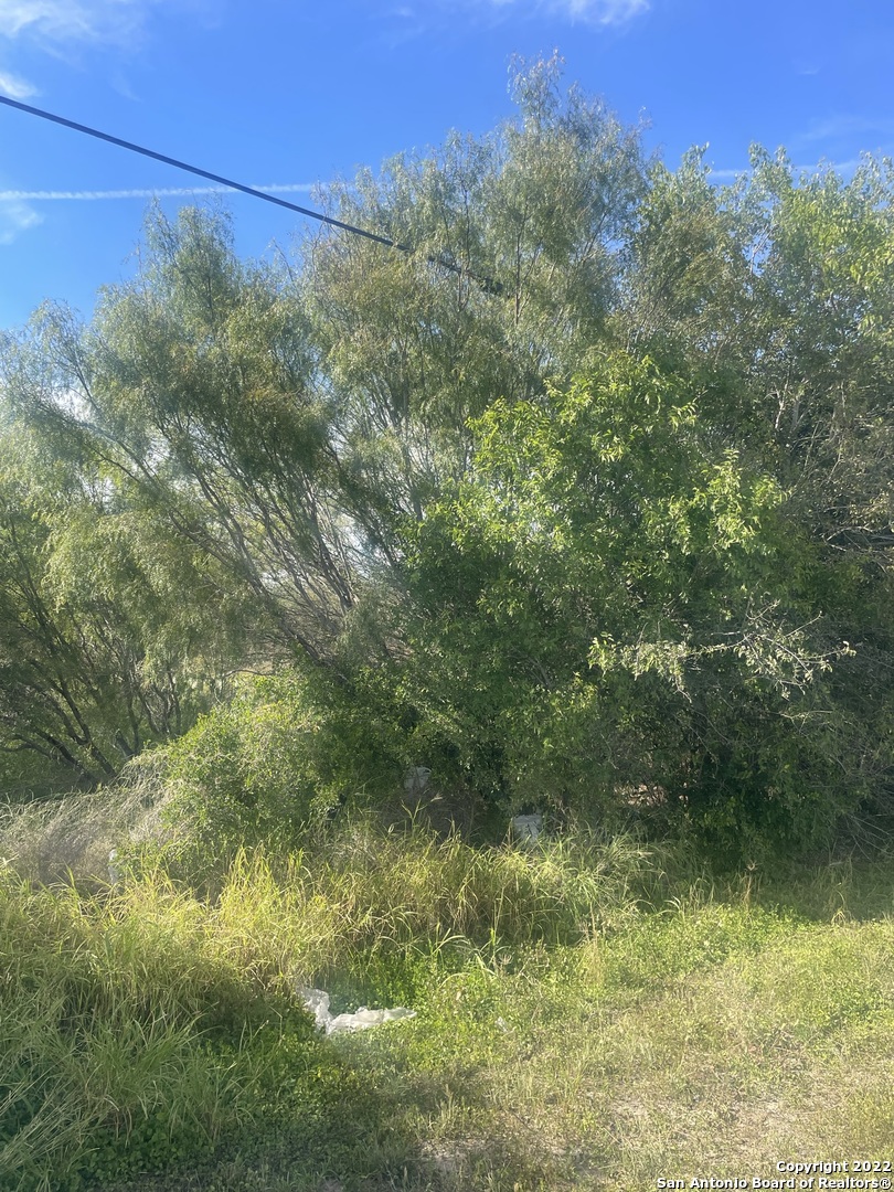 000 N Us Highway 281 George West TX 78071