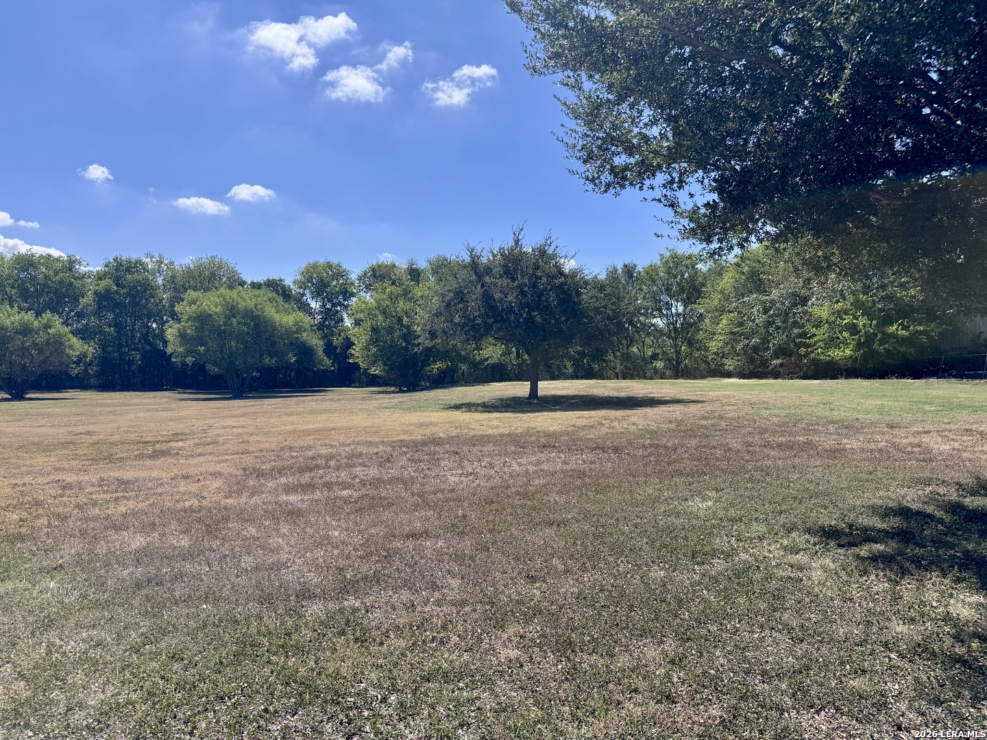 1298 Borgfeld Road Schertz TX 78154