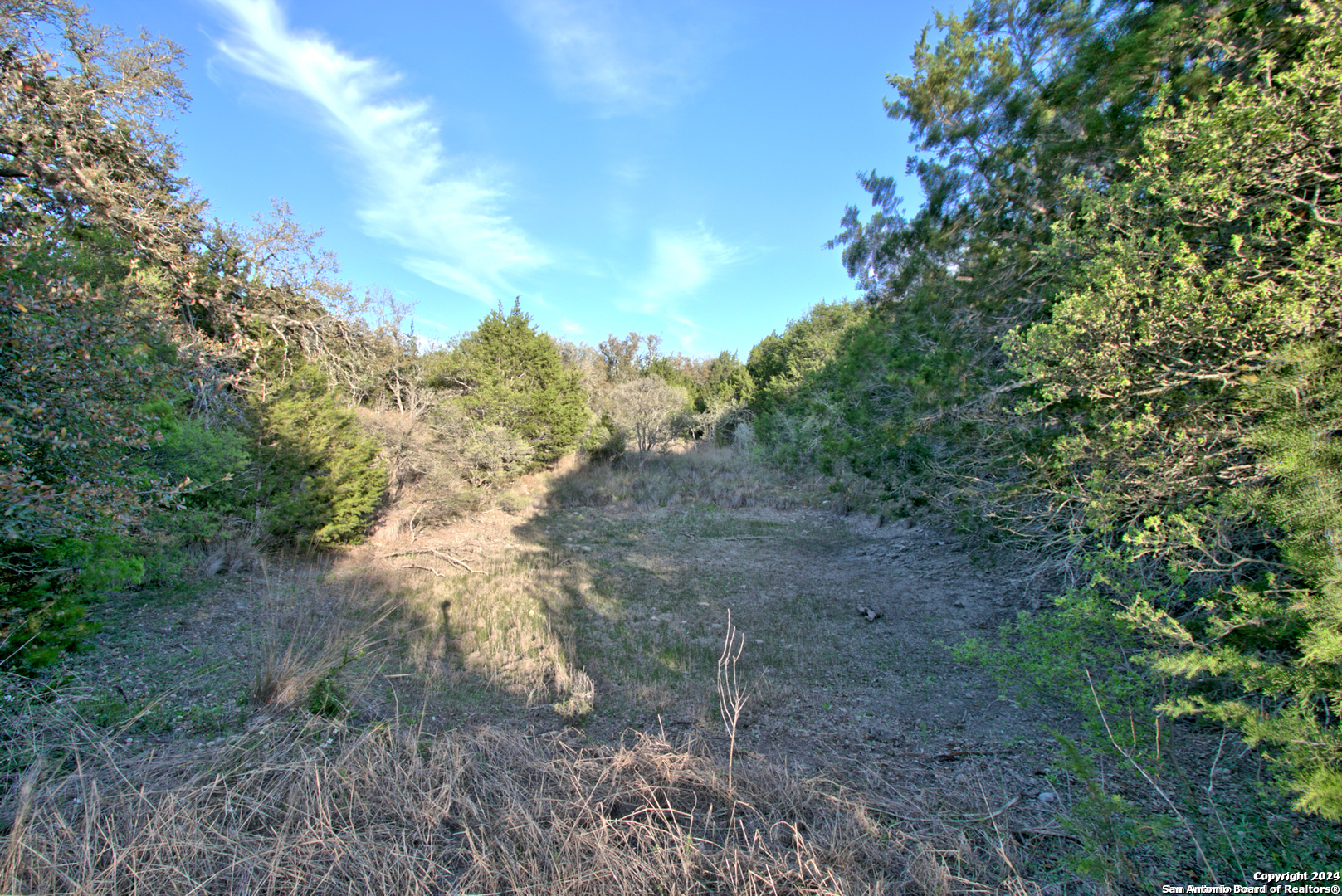 162 Zinnia Avenue Spring Branch TX 78070