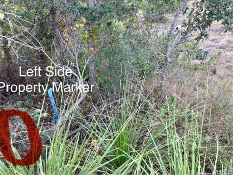 162 Zinnia Avenue Spring Branch TX 78070