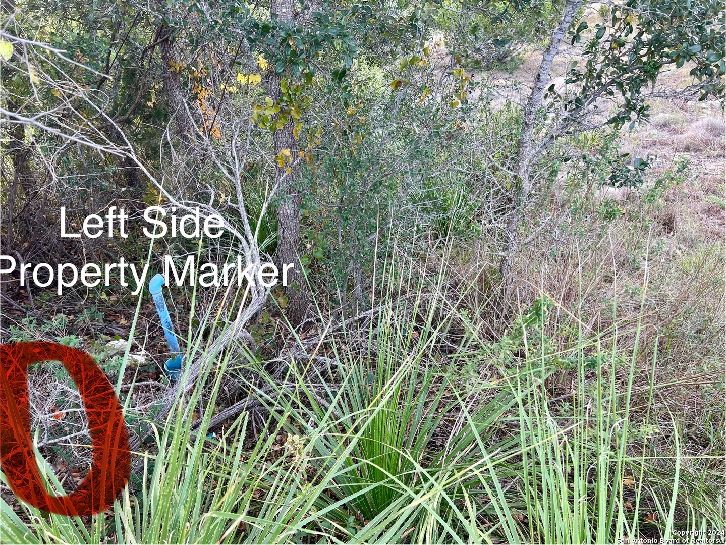 162 Zinnia Avenue Spring Branch TX 78070