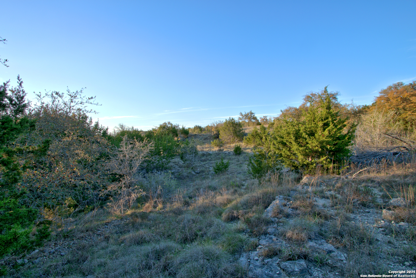 162 Zinnia Avenue Spring Branch TX 78070