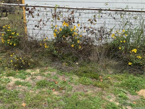 2275 Old Pleasanton San Antonio TX 78264