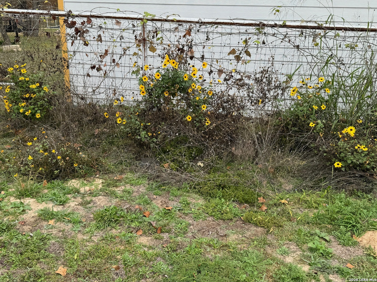 2275 Old Pleasanton San Antonio TX 78264