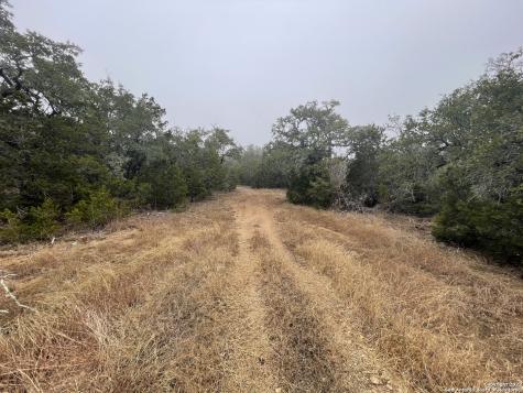 0 E Ammann Road Bulverde TX 78163