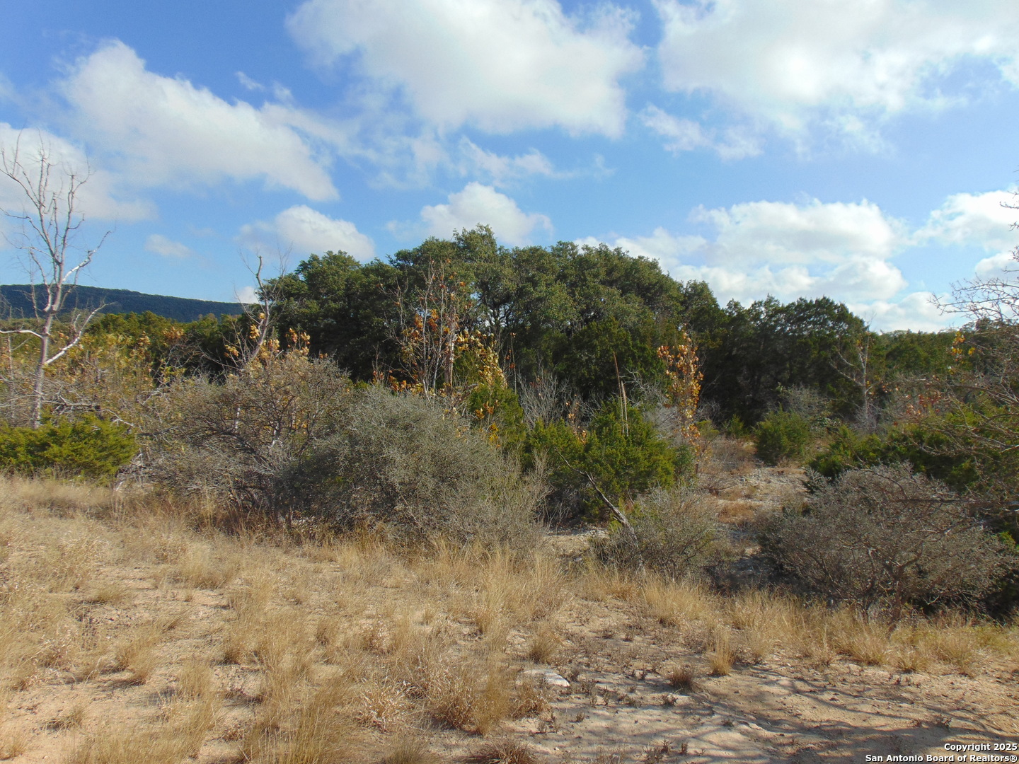 0 Us Highway 90 Brackettville TX 78832