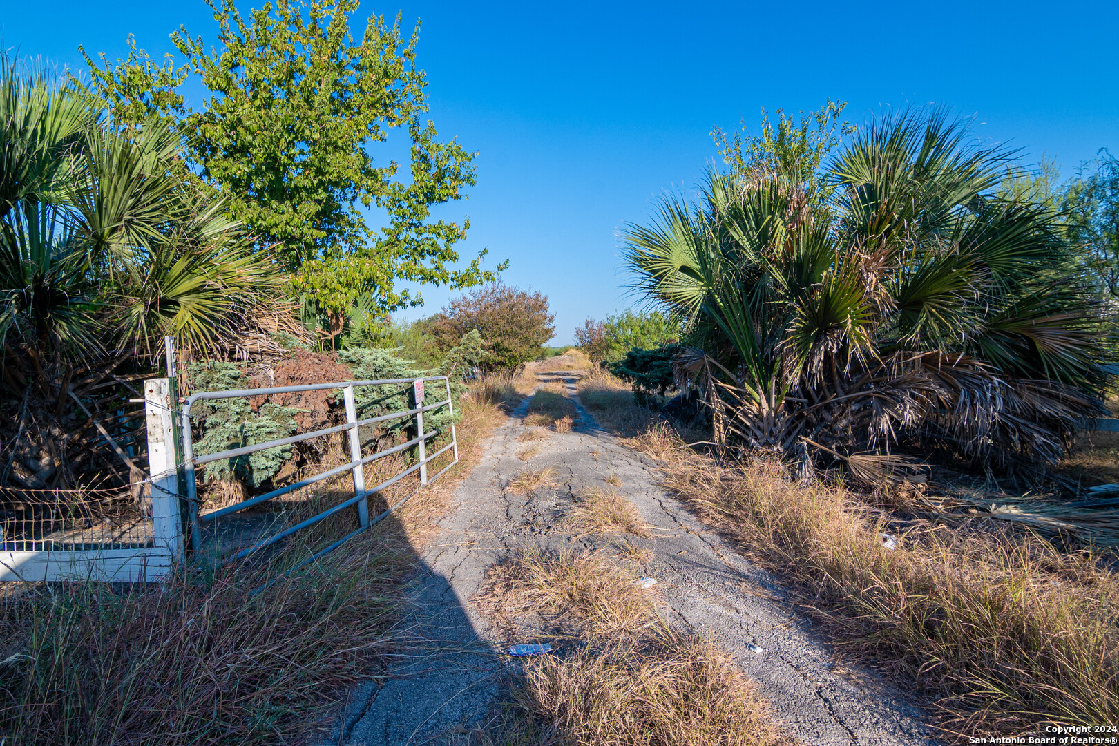 4261 N Interstate 35 New Braunfels TX 78130