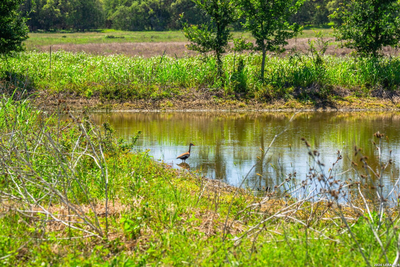 625 State Highway 46 E Boerne TX 78006