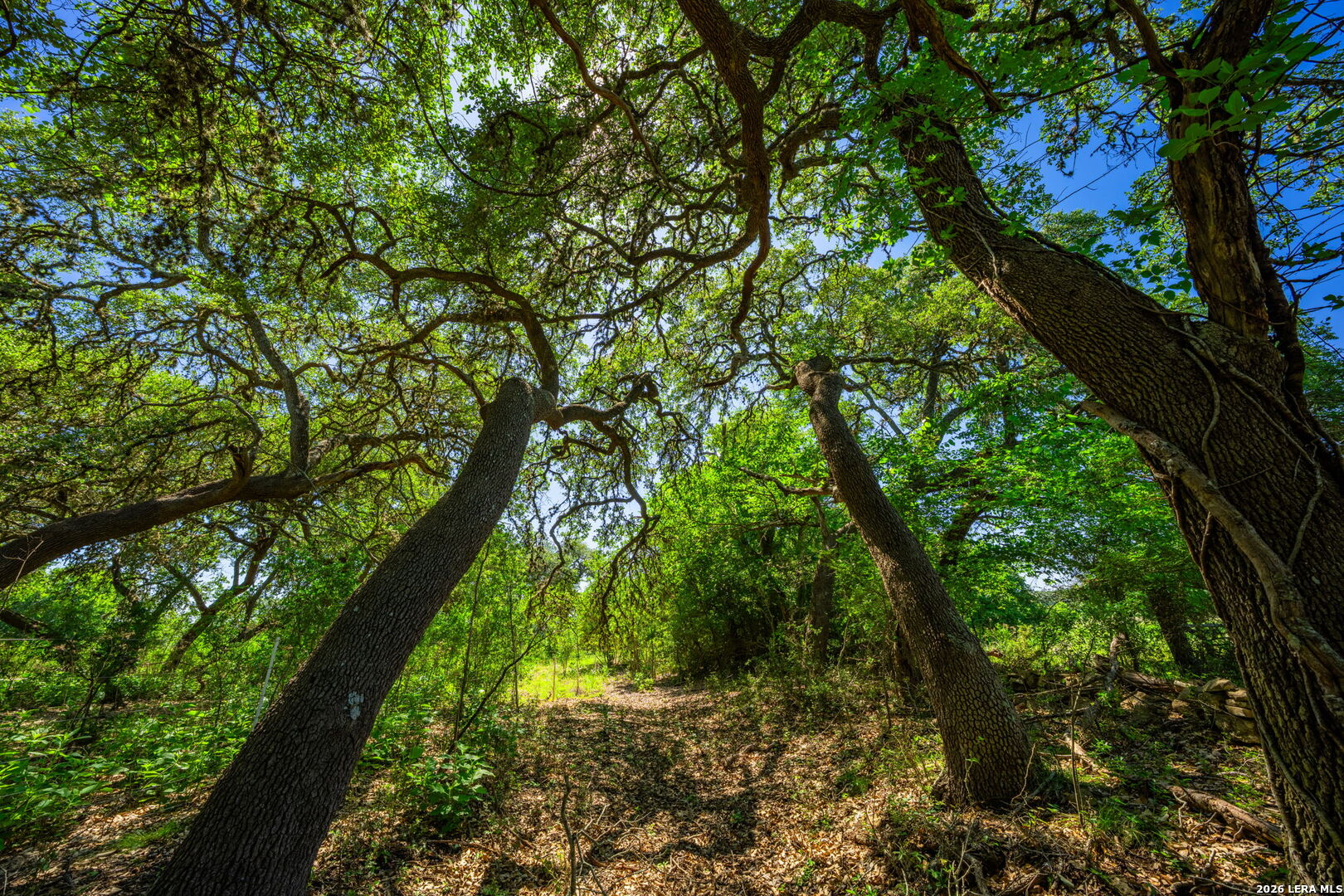 625 State Highway 46 E Boerne TX 78006