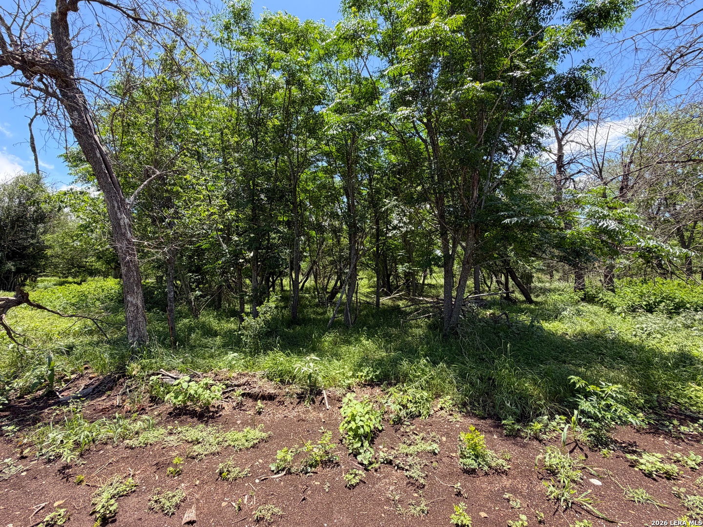 280 Caney Creek Road New Braunfels TX 78130