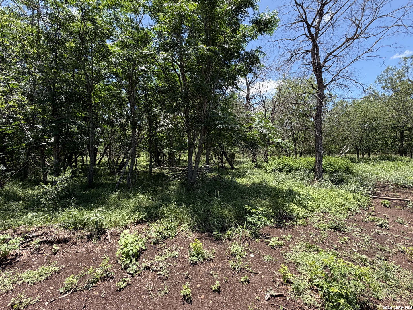 280 Caney Creek Road New Braunfels TX 78130